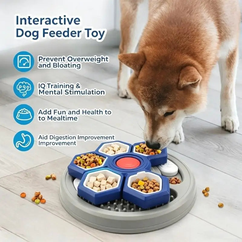 4 Stage Moving Slow Eating Animal Dish For Small animals With Fun Design And Secure Plastic Build 37JD